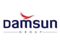 Damsun logo